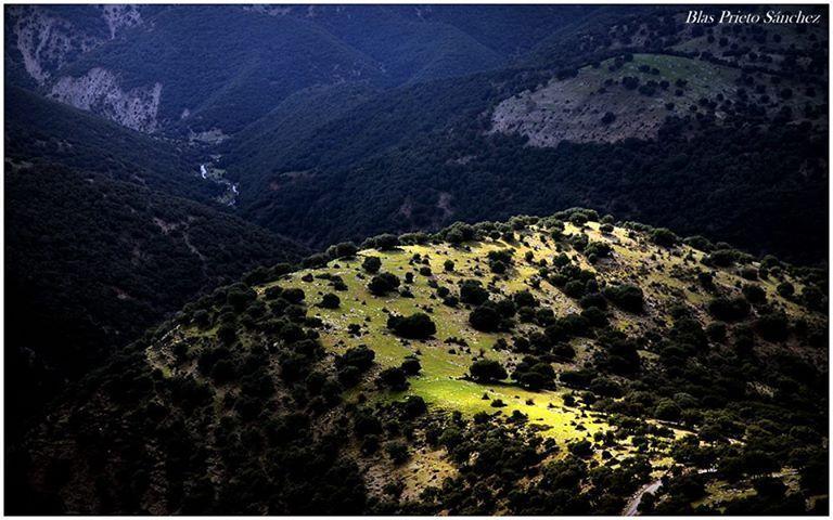 Apartamentos Turisticos Rurales Monte De Las Animas Valdepenas de Jaen Eksteriør billede