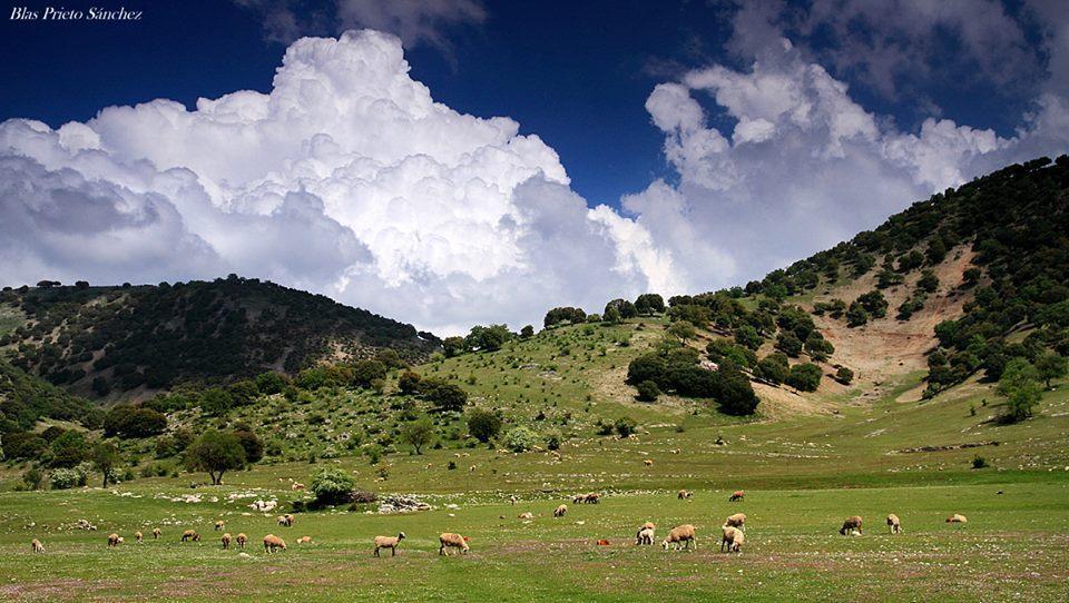 Apartamentos Turisticos Rurales Monte De Las Animas Valdepenas de Jaen Eksteriør billede
