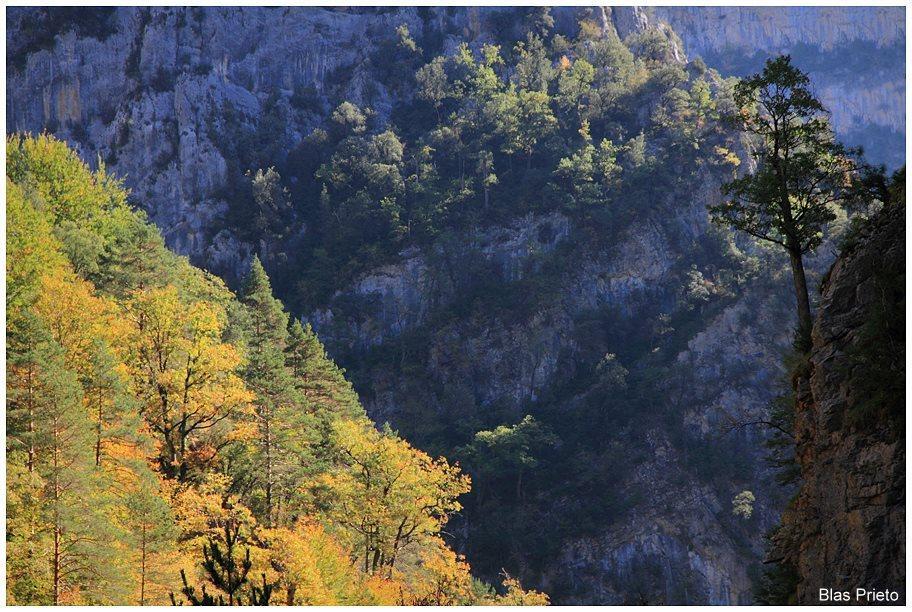 Apartamentos Turisticos Rurales Monte De Las Animas Valdepenas de Jaen Eksteriør billede
