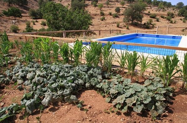 Apartamentos Turisticos Rurales Monte De Las Animas Valdepenas de Jaen Eksteriør billede